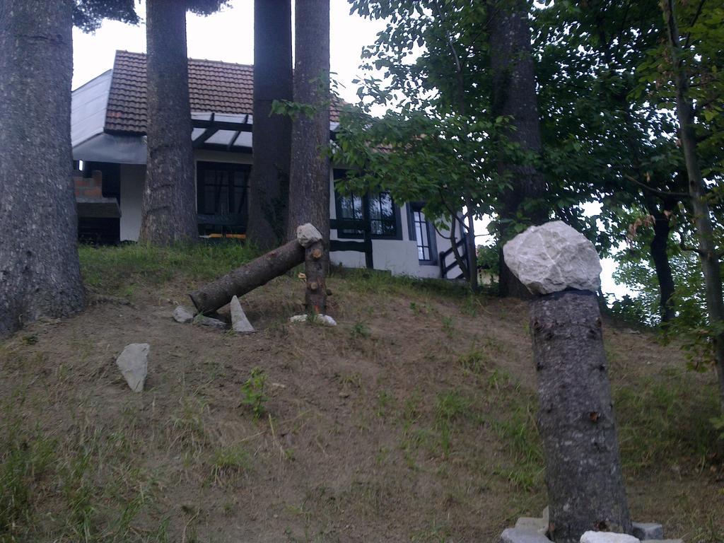 Casa Gabriela Villa Sinaia Bilik gambar