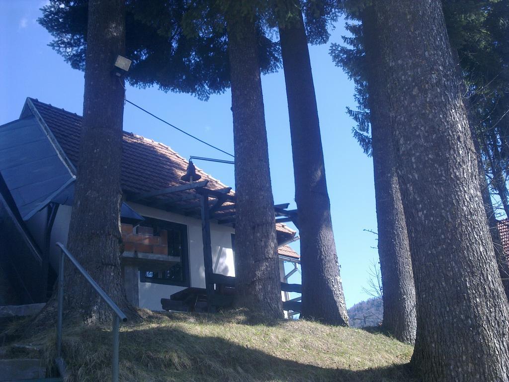 Casa Gabriela Villa Sinaia Bilik gambar