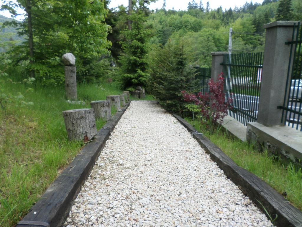 Casa Gabriela Villa Sinaia Luaran gambar